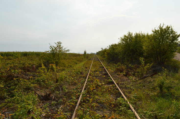 most, przejazd kolejowo-drogowy, Wrocław Główny, RPO Województwa Dolnośląskiego, Świdnica Przedmieście, Świdnica Miasto, LK285, LK711, Marcinowice