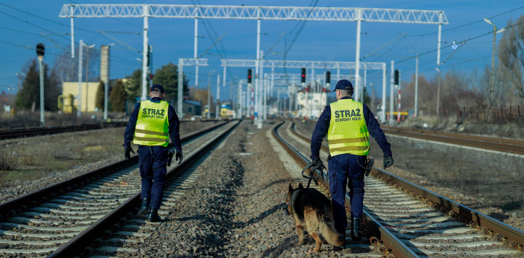 SOK, mobilne centrum monitoringu, patrol SOK, noktowizor, fotopułapka, dzieci, termowizor, młodzież