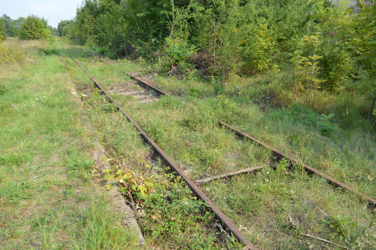 przejazd kolejowo-drogowy, Wrocław Główny, RPO Województwa Dolnośląskiego, Świdnica Przedmieście, Świdnica Miasto, LK285, LK711, Strzelce