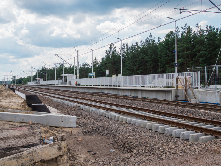 E75, Rail Baltica, CEF, Sadowne Węgrowskie