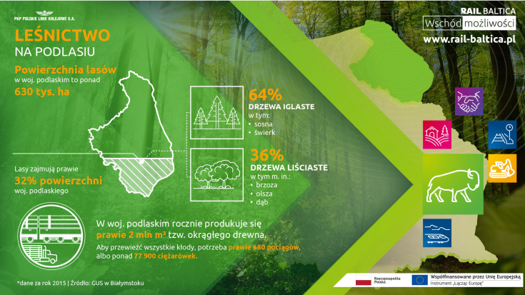 infografika, E75, Rail Baltica, CEF