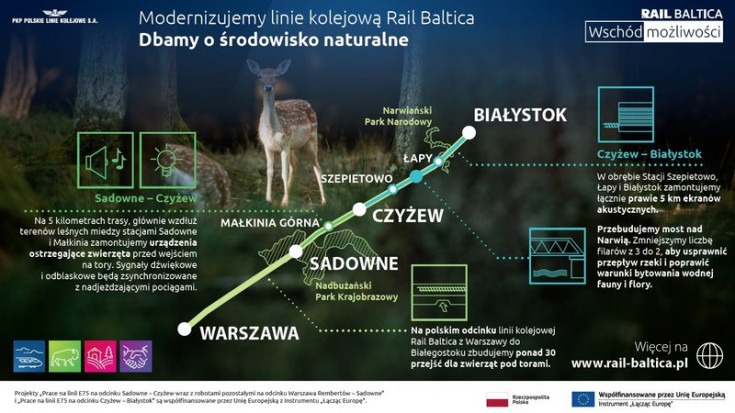 infografika, E75, Rail Baltica, CEF