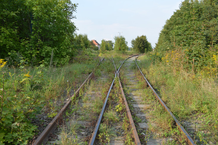 most, przejazd kolejowo-drogowy, Wrocław Główny, RPO Województwa Dolnośląskiego, Świdnica Przedmieście, Świdnica Miasto, LK285, LK711, Pszenno