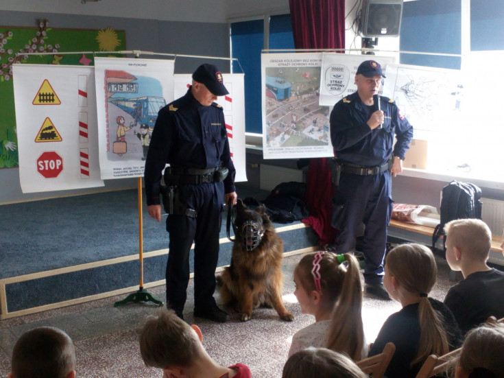 SOK, bezpieczny przejazd, żółta naklejka, edukacja