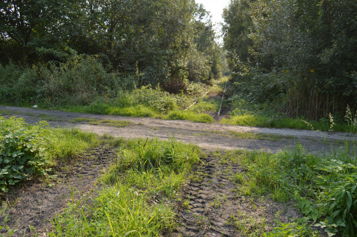 most, przejazd kolejowo-drogowy, Wrocław Główny, RPO Województwa Dolnośląskiego, Świdnica Przedmieście, Świdnica Miasto, LK285, LK711, Marcinowice