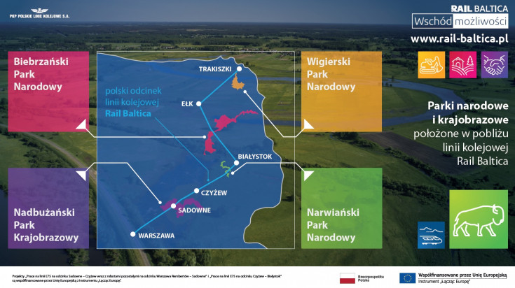 most, ekologia, modernizacja, materiał informacyjny, infografika, Rail Baltica, ekodukt, przejście, środowisko, zwierzęta, ochrona środowiska