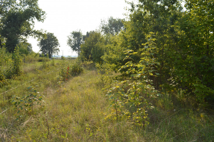 przejazd kolejowo-drogowy, Wrocław Główny, RPO Województwa Dolnośląskiego, Świdnica Przedmieście, Świdnica Miasto, LK285, LK711, Rogów Sobócki