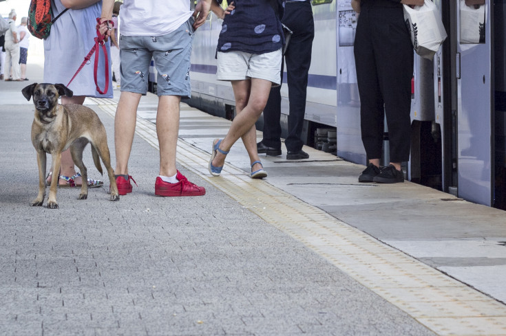 pasażer, peron, ludzie, Warszawa Wschodnia