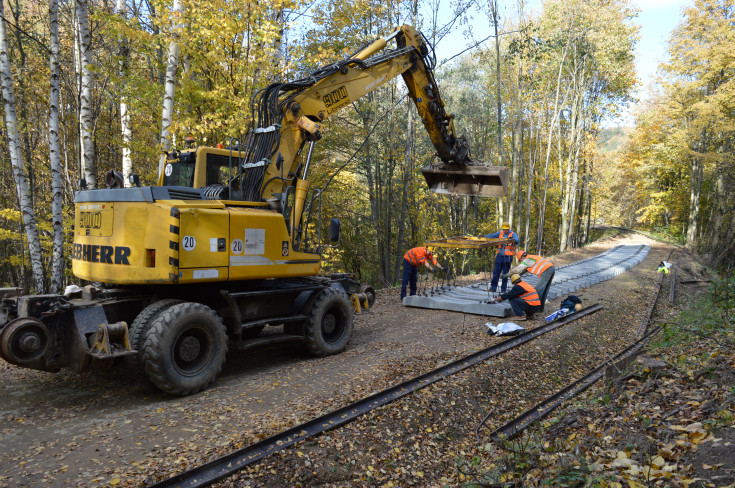 Jedlina Zdrój, LK285, Świdnica Kraszowice