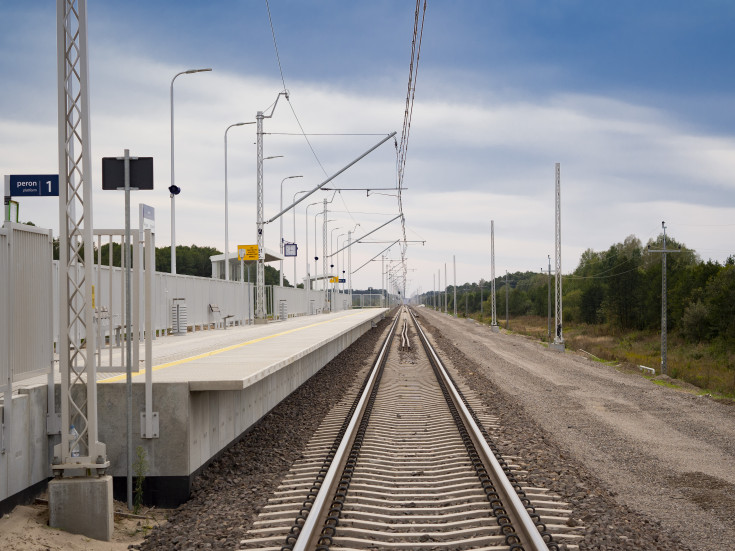 Sadowne, Rail Baltica, CEF, Czyżew, Prostyń