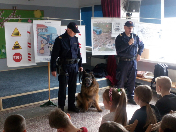 bezpieczny przejazd, żółta naklejka, edukacja