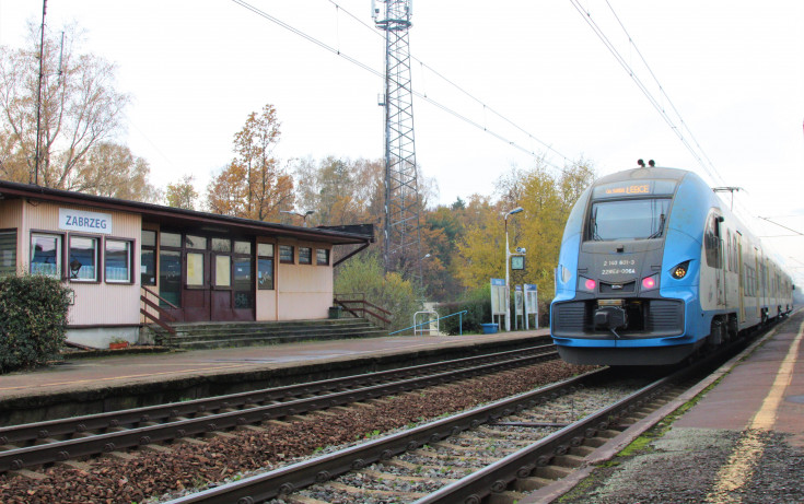 CEF, E65, most nad Wisłą, Czechowice-Dziedzice, Zabrzeg, LOTC, śląski węzeł kolejowy, Goczałkowice-Zdrój