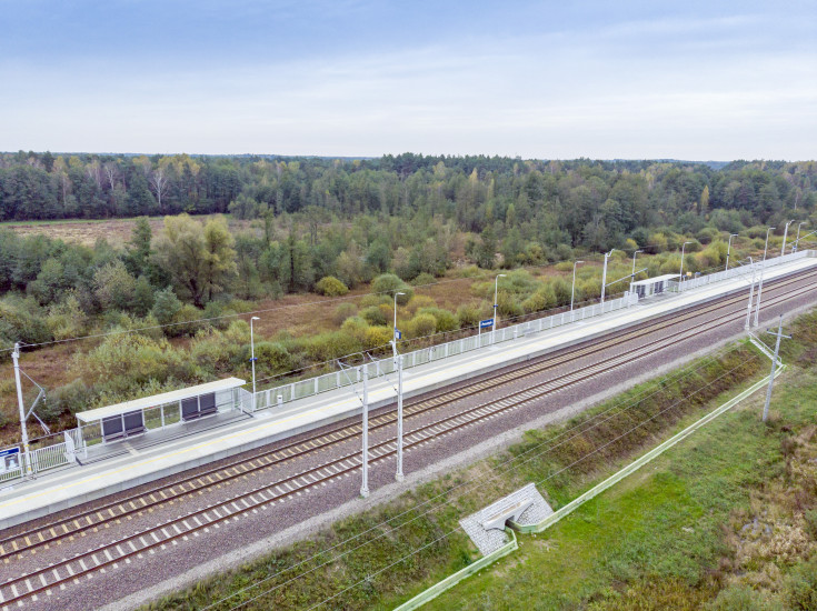 E75, Rail Baltica, CEF, nowy przystanek, Prostyń