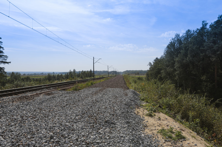 POIiŚ 2014-2020, wiadukt kolejowy, Paczyna