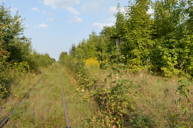 przejazd kolejowo-drogowy, Wrocław Główny, RPO Województwa Dolnośląskiego, Świdnica Przedmieście, Świdnica Miasto, LK285, LK711, Rogów Sobócki