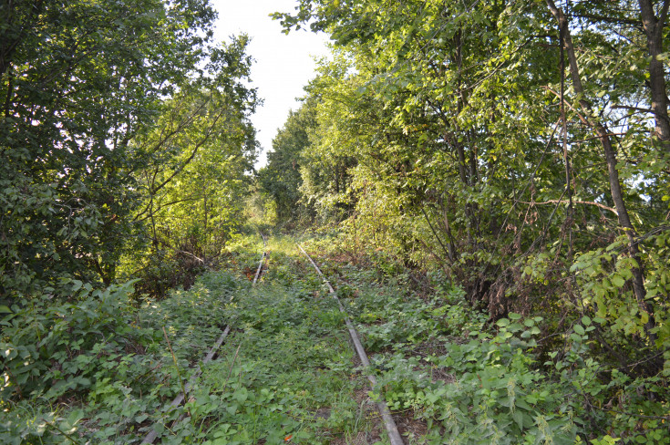 wiadukt, Wrocław Główny, RPO Województwa Dolnośląskiego, Świdnica Przedmieście, Świdnica Miasto, LK285, LK711, Wilków