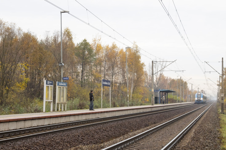 CEF, E65, most nad Wisłą, Czechowice-Dziedzice, Zabrzeg, LOTC, śląski węzeł kolejowy, Goczałkowice-Zdrój