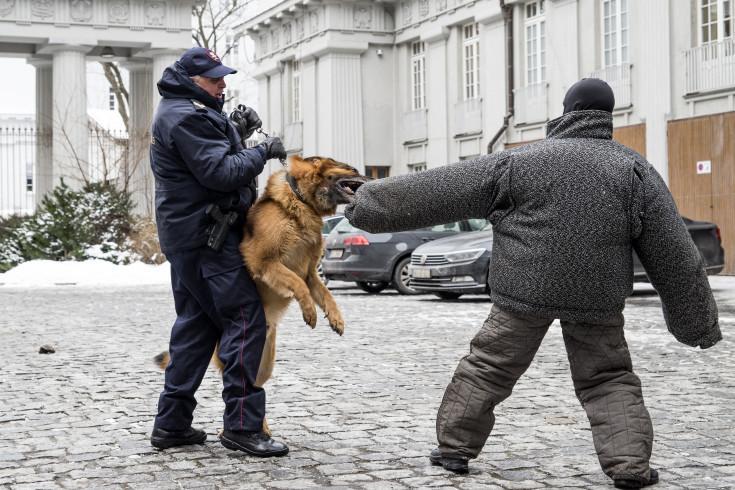 SOK, Straż Ochrony Kolei, pies, trening