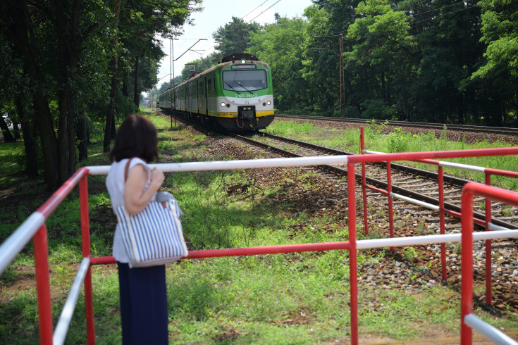 bezpieczeństwo, krzyż św. Andrzeja, Józefów, przejście pieszo-rowerowe