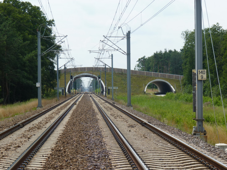 przepust, wiadukt, E59, ekodukt, ochrona środowiska, fotopułapka, kamera