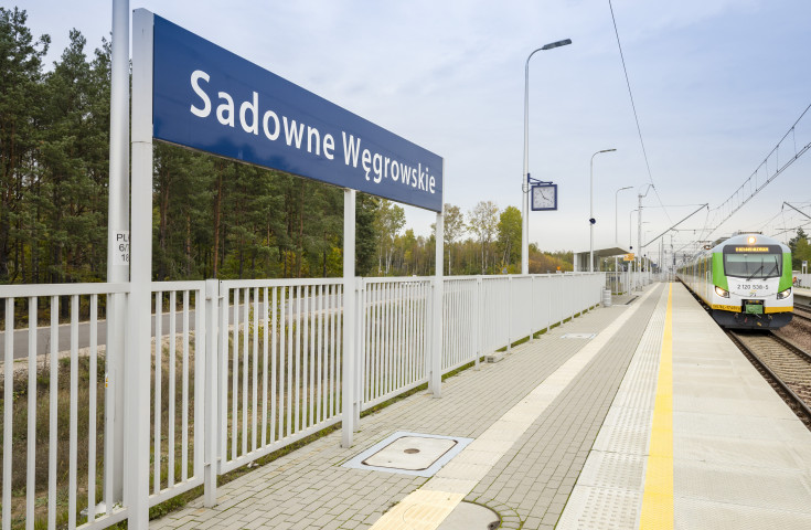 E75, Rail Baltica, CEF, nowy przystanek, Sadowne Węgrowskie