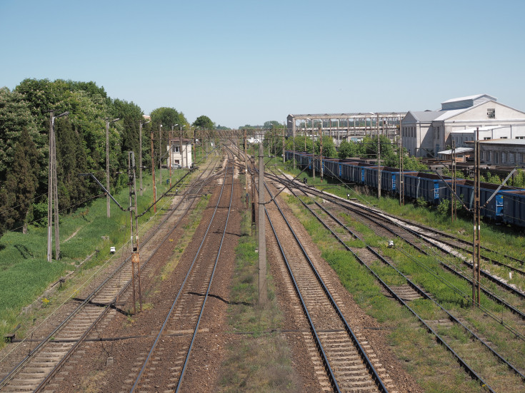 E75, Rail Baltica, CEF, Łapy