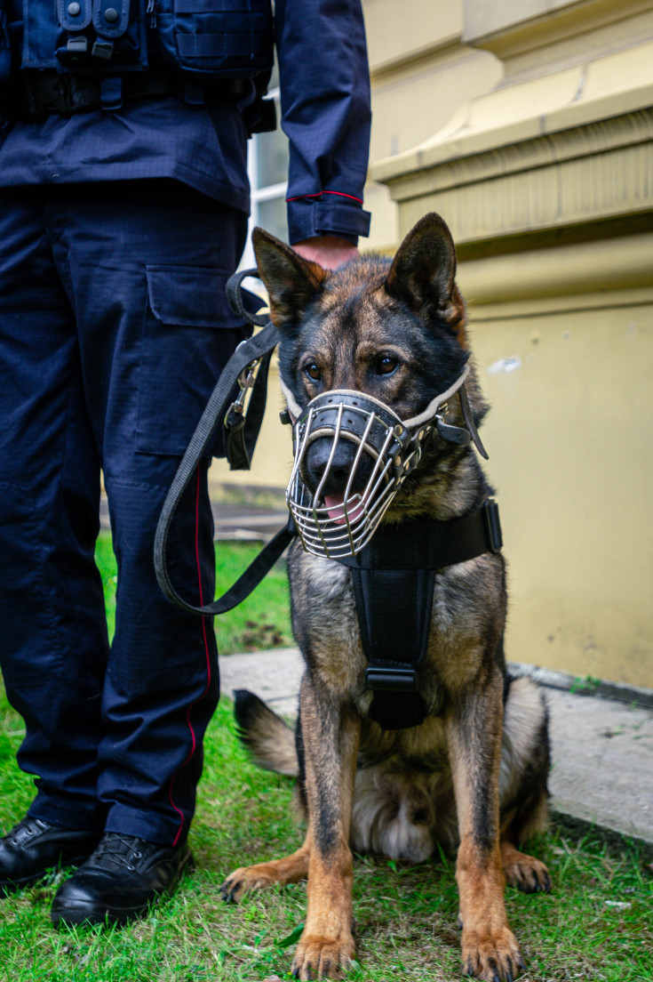 bezpieczny przejazd, kampania społeczna, dzień dziecka, edukacja dzieci, dzieci, dziecko, wydarzenie plenerowe, stoisko kampanii, KPRM, Kancelaria Prezesa Rady Ministrów, rodzice