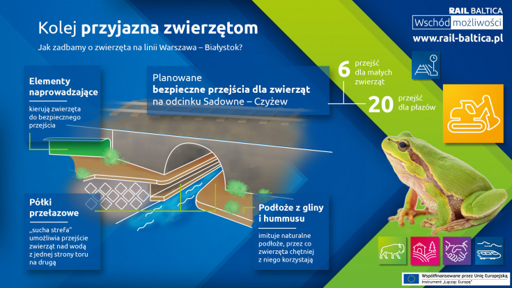 infografika, E75, Rail Baltica, CEF