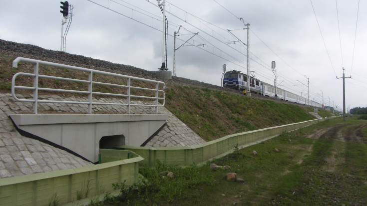 ekologia, zwierzęta, ochrona środowiska