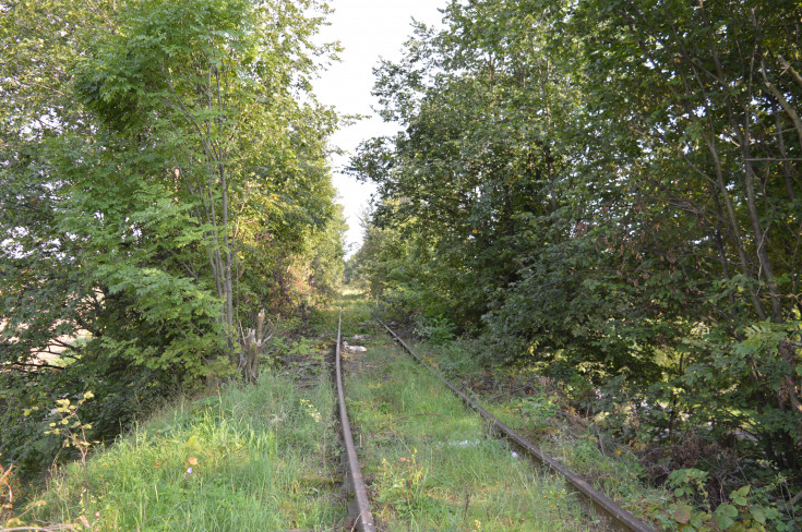 wiadukt, Wrocław Główny, RPO Województwa Dolnośląskiego, Świdnica Przedmieście, Świdnica Miasto, LK285, LK711, Wilków