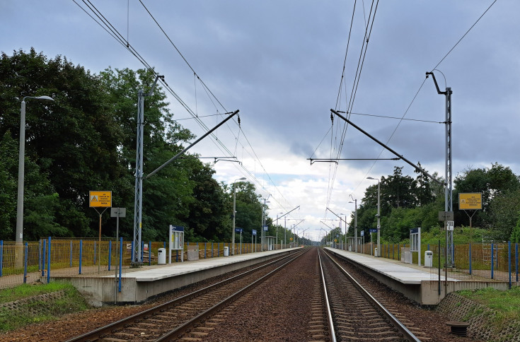 LK1, Wiedenka, nowa infrastruktura, 160 km/h, nowy peron, podniesienie prędkości, Widzów Teklinów