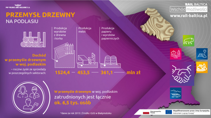 infografika, E75, Rail Baltica, CEF