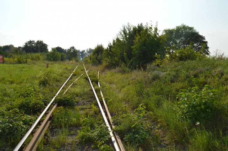 przejazd kolejowo-drogowy, Wrocław Główny, RPO Województwa Dolnośląskiego, Świdnica Przedmieście, Świdnica Miasto, LK285, LK711, Rogów Sobócki