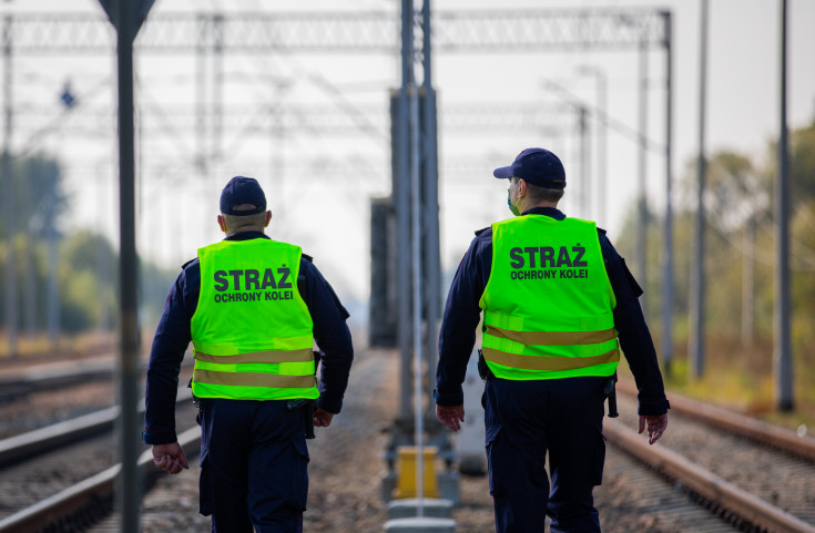 SOK, bezpieczeństwo, dzikie przejście, mobilne centrum monitoringu, patrol SOK, noktowizor, fotopułapka, koronawirus, pandemia, termowizor, pies służbowy