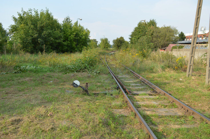 most, przejazd kolejowo-drogowy, Wrocław Główny, RPO Województwa Dolnośląskiego, Świdnica Przedmieście, Świdnica Miasto, LK285, LK711, Pszenno