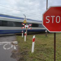 2025-10-23 Gawronki, kat. D