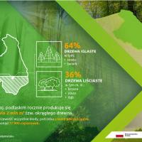 infografika, E75, Rail Baltica, CEF