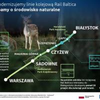 infografika, E75, Rail Baltica, CEF