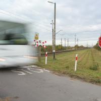 2025-10-23 Gawronki, kat. D