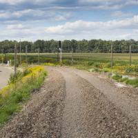 2018-08 Toszek Północ - Rudziniec Gliwicki - Stare Koźle - Zdjęcia z trasy