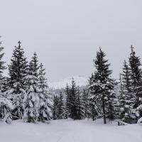 2025-02-14 Zimowy wyjazd na ferie do Karpacza dla dzieci z Łodzi