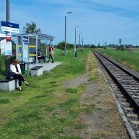 2021-06-11 Na trasie Toruń – Chełmża zaczyna się poprawa dostępu do kolei