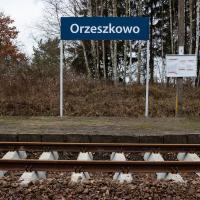 2018-11 Orzeszkowo