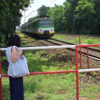 bezpieczeństwo, krzyż św. Andrzeja, Józefów, przejście pieszo-rowerowe