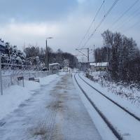 peron, nowa wiata, nowa infrastruktura, Program Przystankowy, Rzozów Centrum, nowa tablica informacyjna