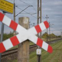 2025-10-23 Gawronki, kat. D