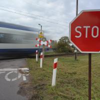 2025-10-23 Gawronki, kat. D