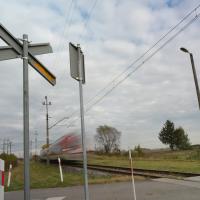 2025-10-23 Gawronki, kat. D