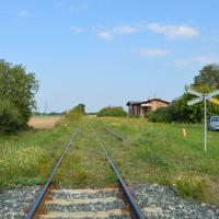 Olbrachtowice; 28.08.2019