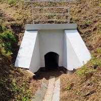 2023-008-14 Zwierzęta bezpiecznie wędrują w sąsiedztwie linii kolejowych w woj. pomorskim